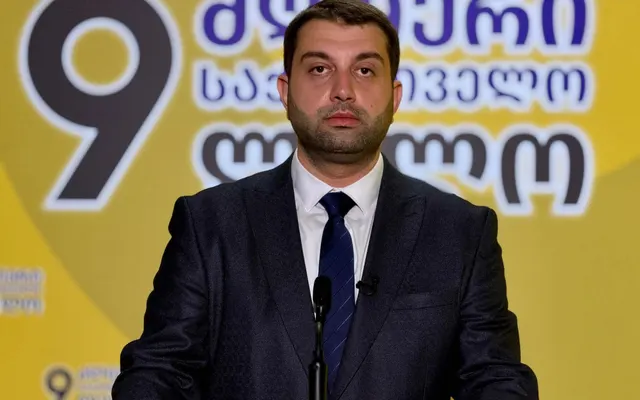 ართქმელაძე: მანანა კობახიძის გადაწყვეტილება სისტემის რღვევის ნიმუშია