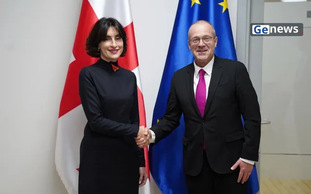 მაკა ბოჭორიშვილი ჯანმრთელობის მსოფლიო ორგანიზაციის გენერალური დირექტორობის კანდიდატს, ჰანს კლუგეს შეხვდა