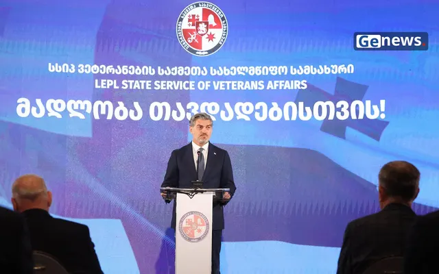 ყაველაშვილი ვეტერანის დღეზე: მშვიდობა თავისთავადი მოცემულობა არ არის