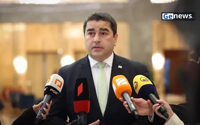 პაპუაშვილი: სურს, რომ ოპოზიციურმა პარტიებმა საკონსტიტუციო სასამართლოს სხდომებში მიიღონ მონაწილეობა
