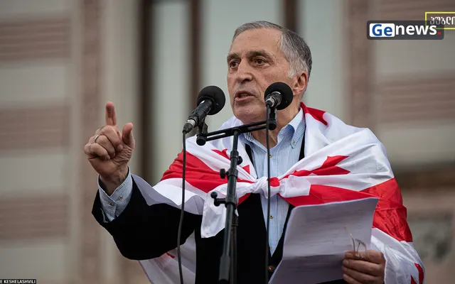 ხუთი ავსტრიელი ევროპარლამენტარი პაატა ბურჭულაძის დაუყოვნებლივ გათავისუფლებას ითხოვს
