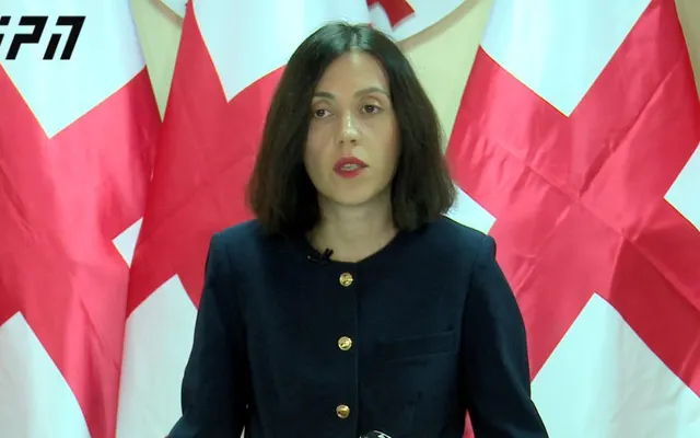 წითლიძე: მანანა კობახიძის გადაწყვეტილება მოსამართლეებზე არსებულ ზეწოლას აჩვენებს