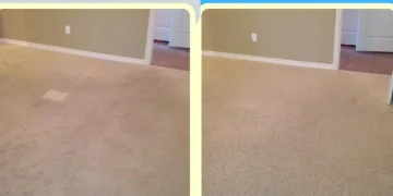 ოფისის ხალიჩის პროფესიონალური წმენდა — რატომ ვერ ცვლის მტვერსასრუტი ღრმა ქიმწმენდას